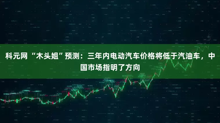 科元网 “木头姐”预测：三年内电动汽车价格将低于汽油车，中国市场指明了方向