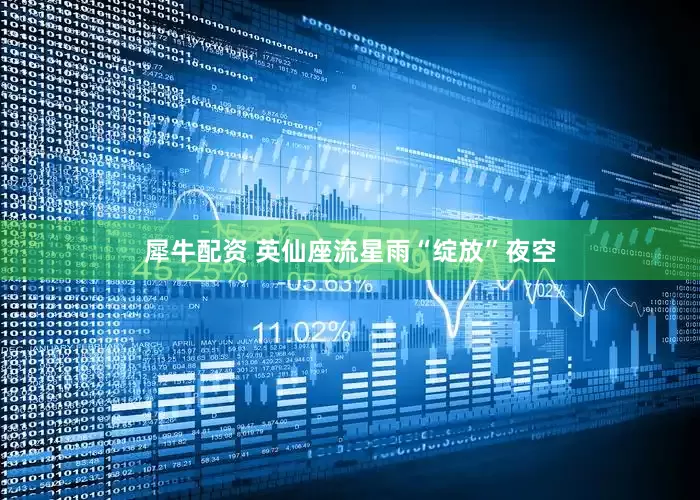 犀牛配资 英仙座流星雨“绽放”夜空