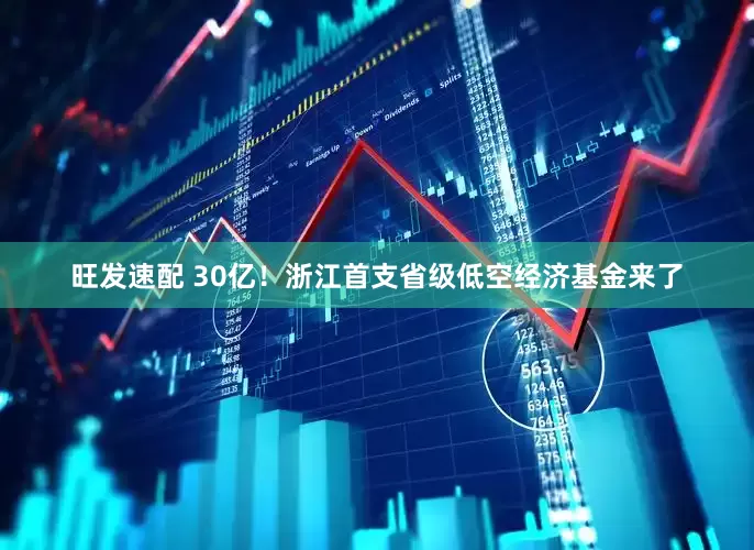 旺发速配 30亿！浙江首支省级低空经济基金来了